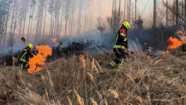 14.3.2026 Požiar lesného porastu Vysoká nad Kysucou - Veľké Rovné